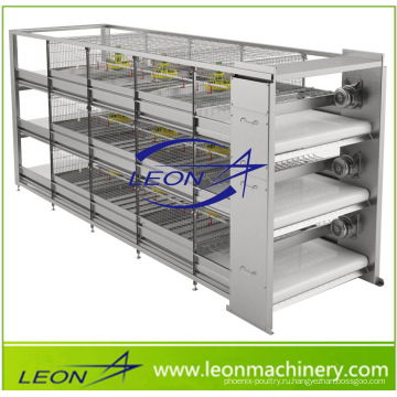 Автоматическая аккумуляторная клетка для оборудования для кормления птицы серии Leon в горячей продаже